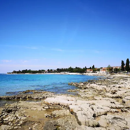 Nobilis Διαμέρισμα *